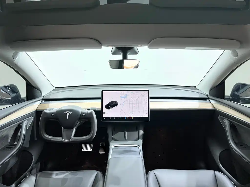 Tesla Model Y — миниатюра 11