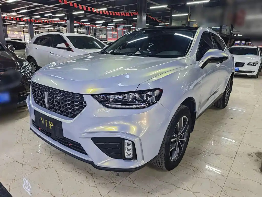 WEI PAI WEI BRAND VV5