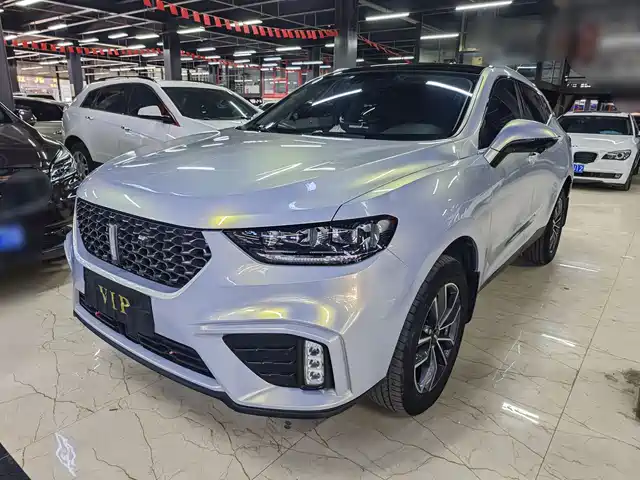 WEI PAI WEI BRAND VV5