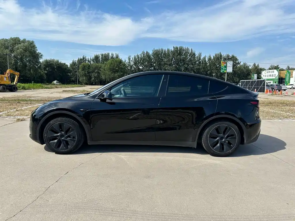 Tesla Model Y — миниатюра 7