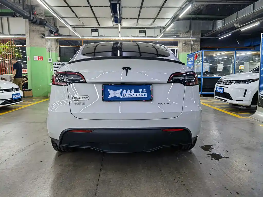 Tesla Model Y — миниатюра 5