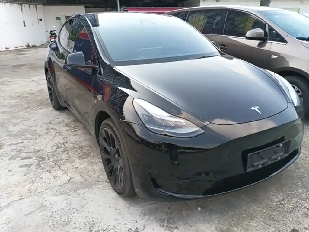 Tesla Model Y — миниатюра 4