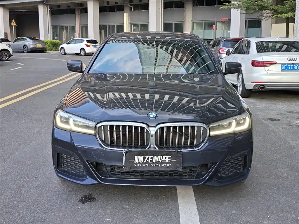 BMW 5 Series — миниатюра 2