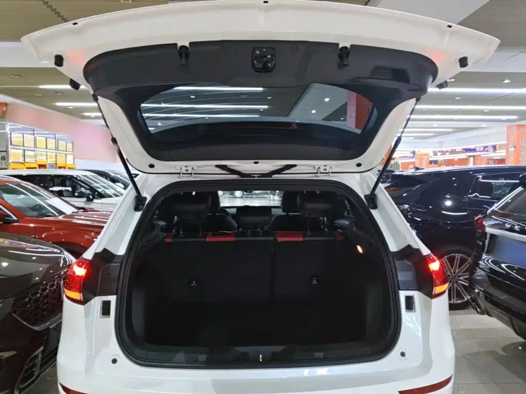 Haval H6 — миниатюра 19