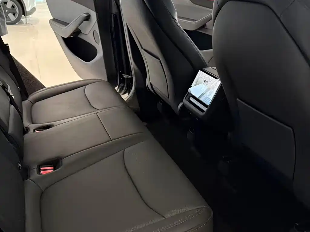 Tesla Model Y — миниатюра 9
