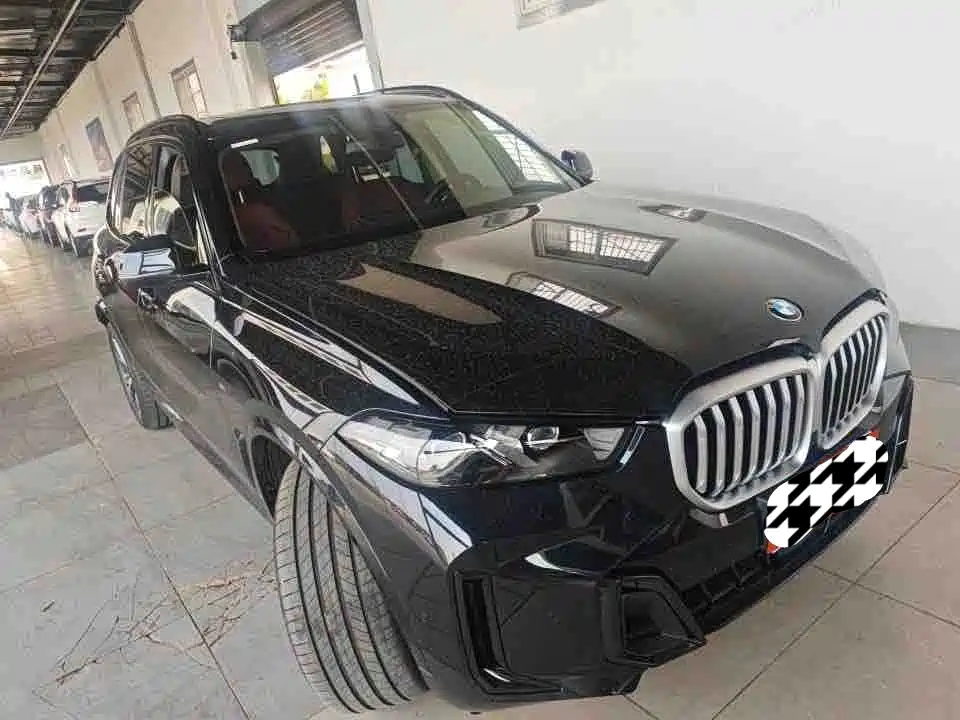 BMW X5 — миниатюра 2