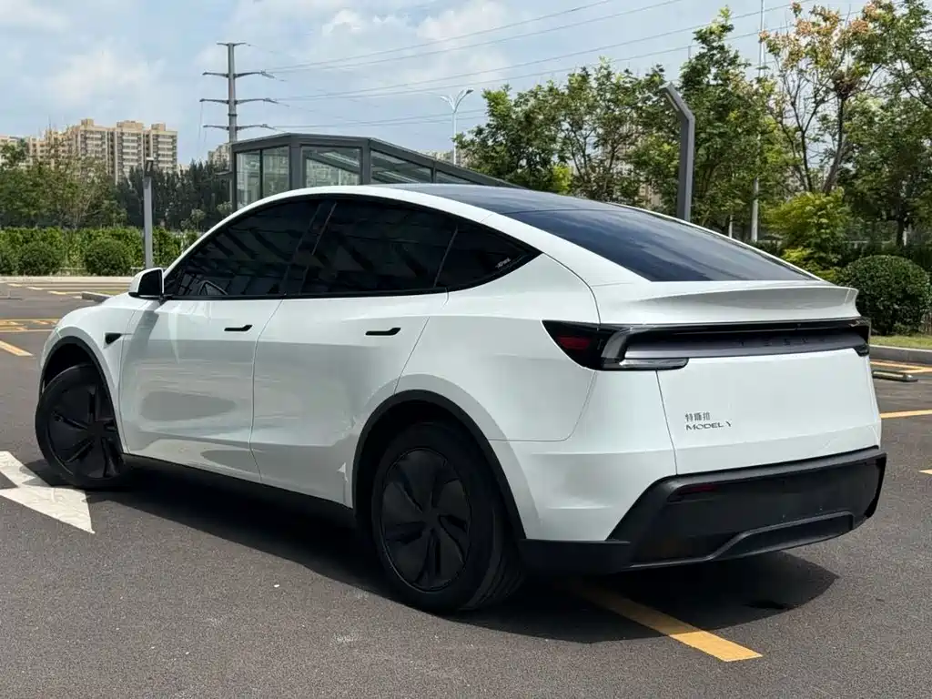 Tesla Model Y — миниатюра 6