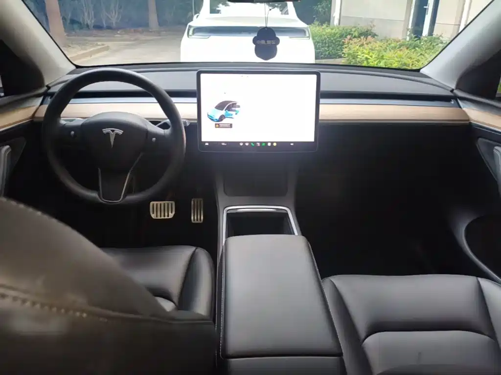 Tesla Model Y — миниатюра 10