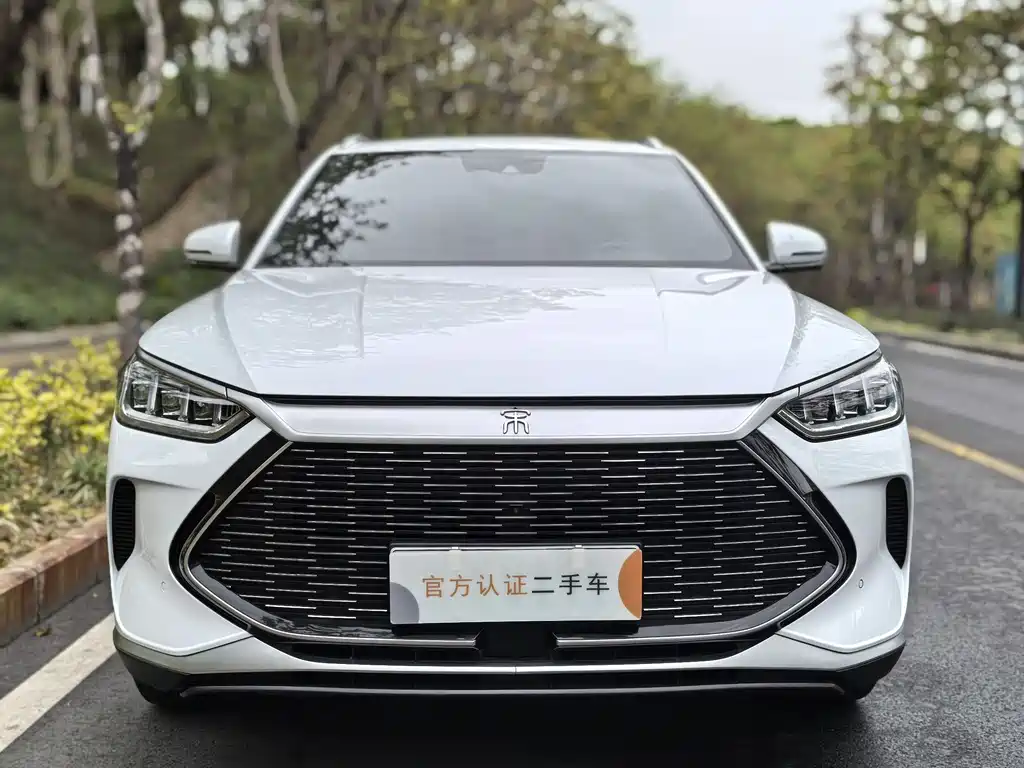 BYD SONGJIANG NEW ENERGY