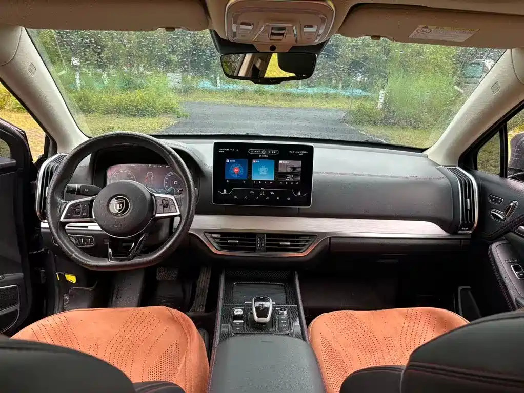 BYD Tang New Energy — миниатюра 6