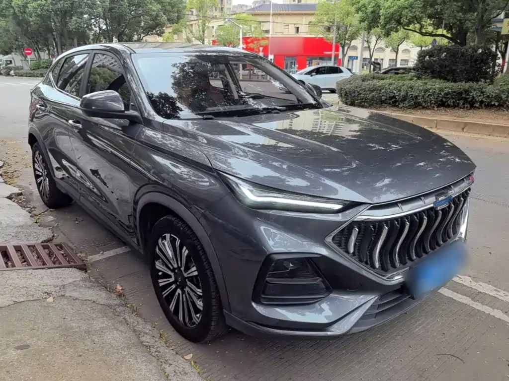 Oshan Oushang X5 — миниатюра 4