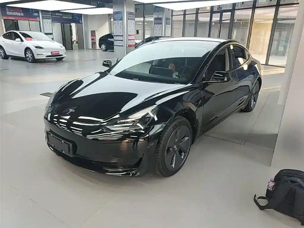 Tesla Model 3 2021