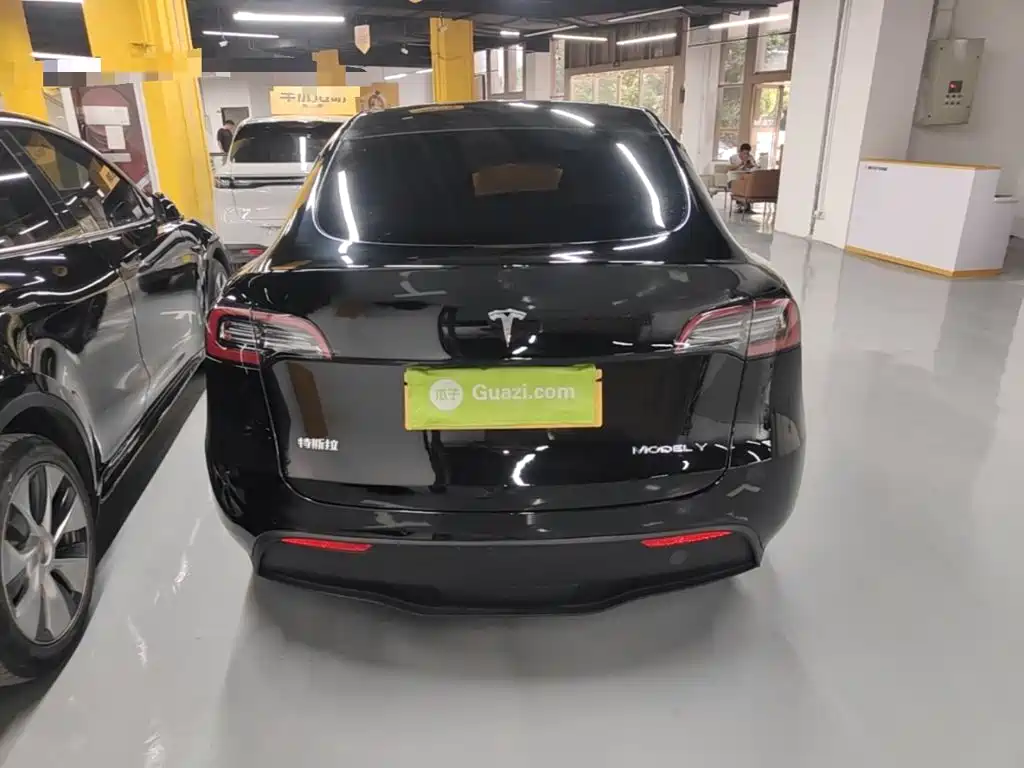 Tesla Model Y — миниатюра 6