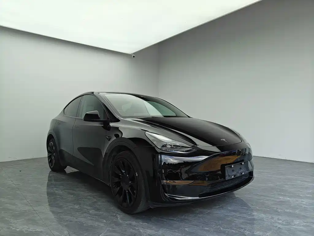 Tesla Model Y — миниатюра 3