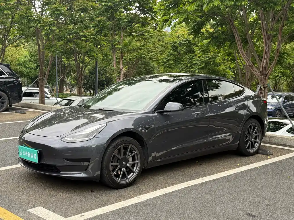 Tesla Model 3 2020