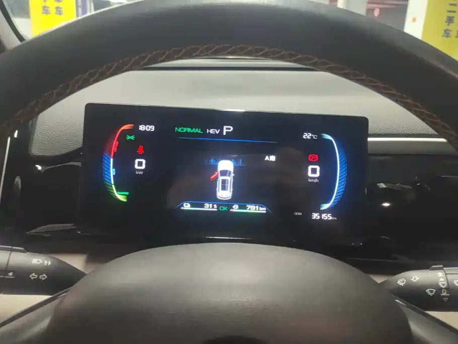 BYD Pro New Energy — миниатюра 14