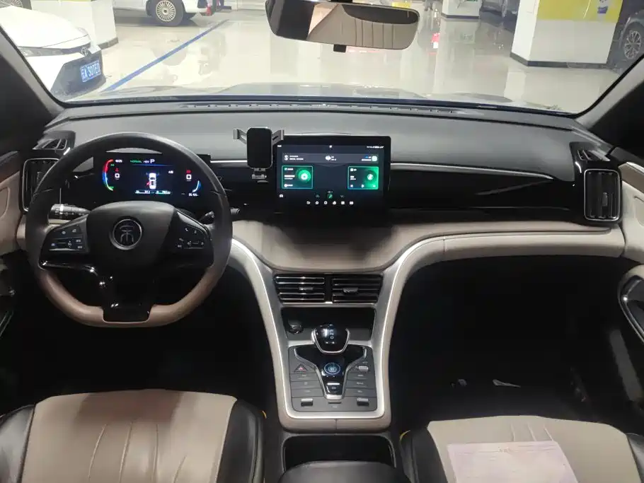 BYD Pro New Energy — миниатюра 12