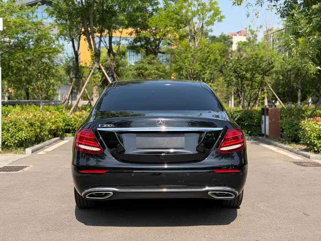 Mercedes-Benz E-Class E 2020 E 300 L