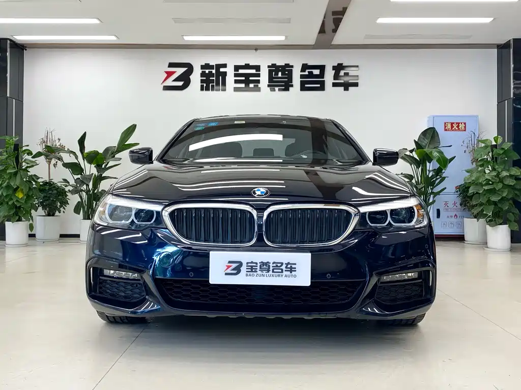 BMW 5 Series 5 2019 525Li M Sport