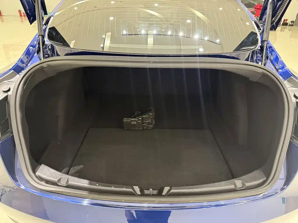 Tesla Model 3 — миниатюра 15