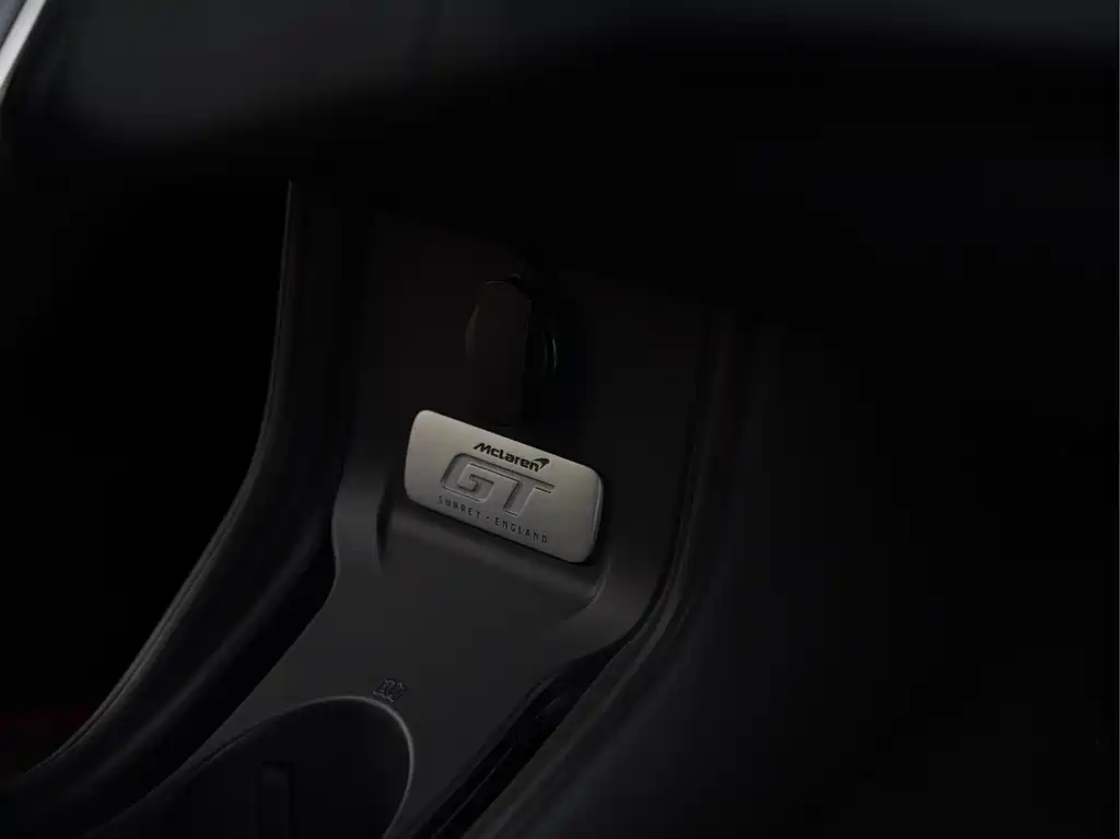 McLaren GT 4.0T Standard Type, фото 16