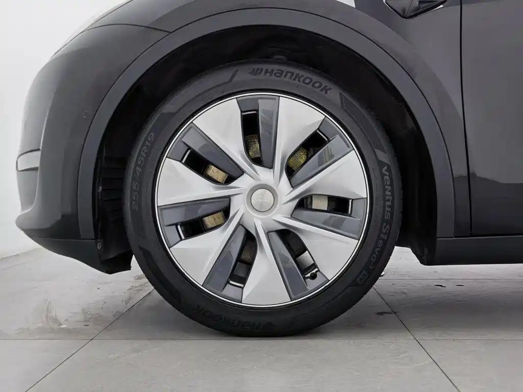 Tesla Model Y — миниатюра 17