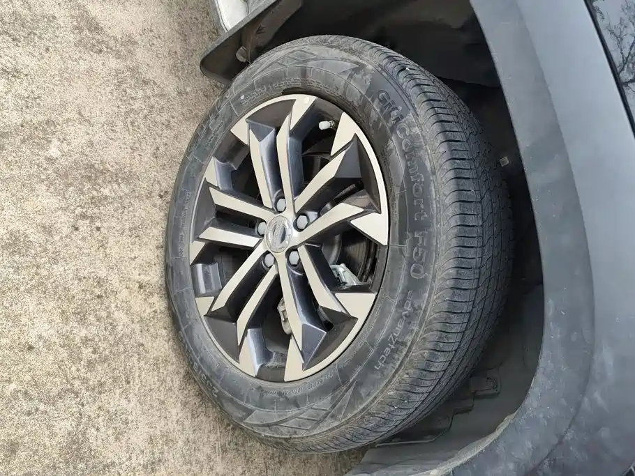 Haval Big Dog — миниатюра 6