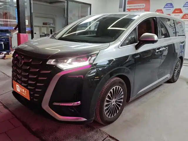 Denza D9