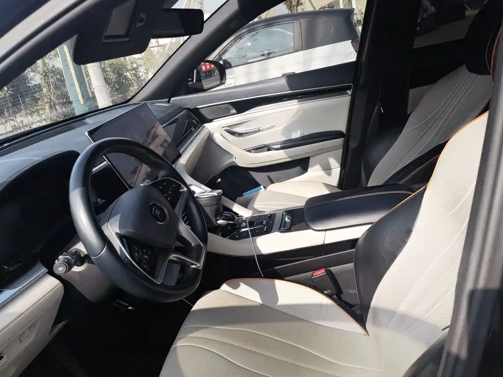 BYD PLUS New Energy — миниатюра 11