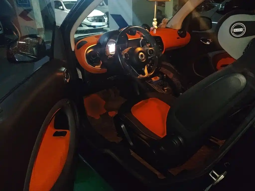 smart Smart Fortwo — миниатюра 14