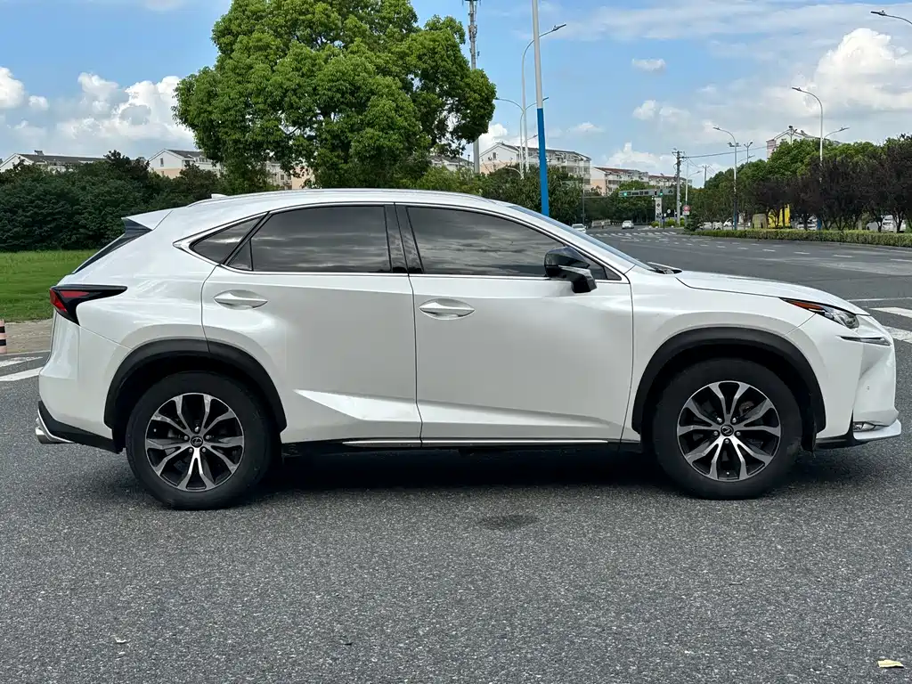 Lexus NX — миниатюра 4