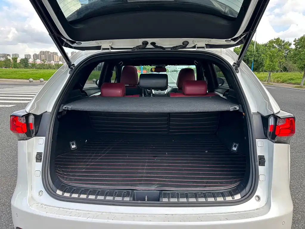 Lexus NX — миниатюра 20