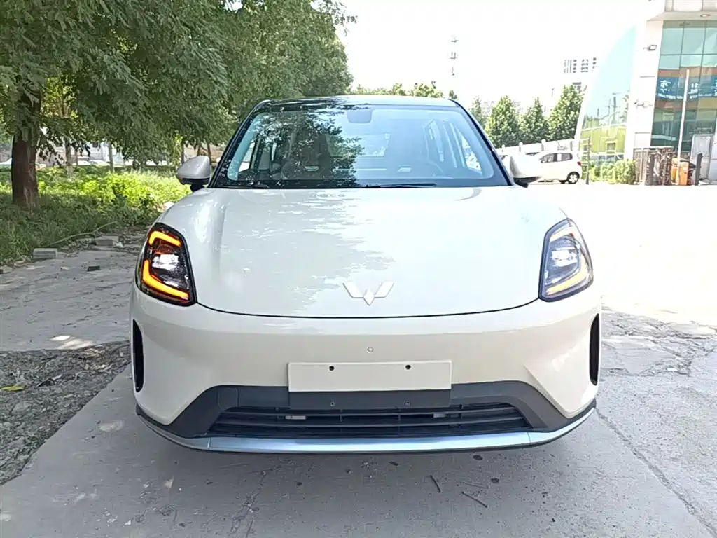 Wuling BinguoS S 2025 325km Premium