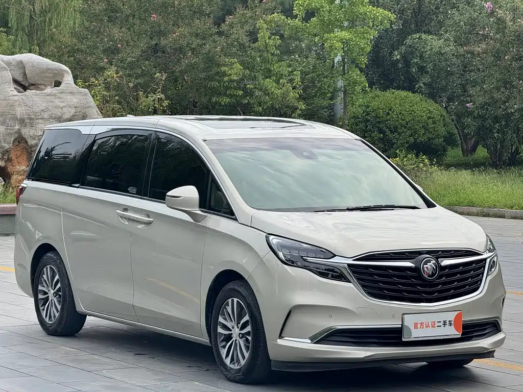 Buick GL8 — миниатюра 3