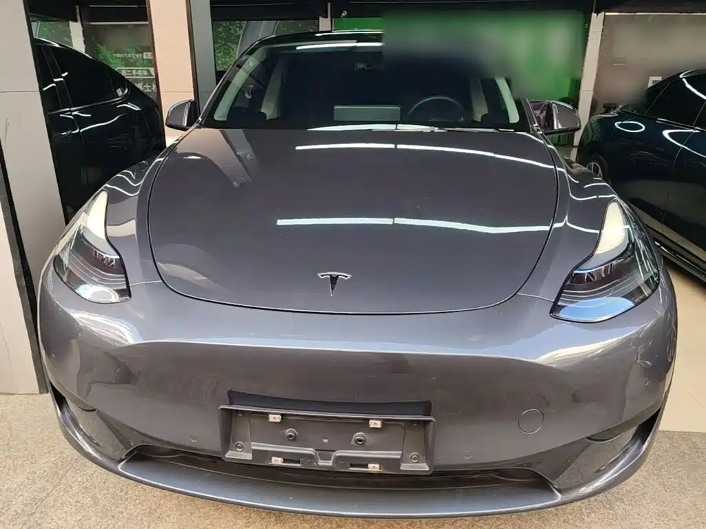 Tesla Model Y — миниатюра 3