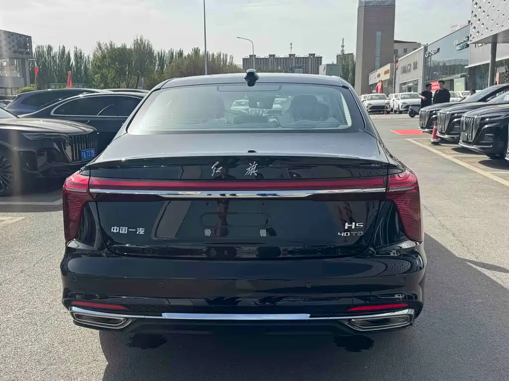 Hongqi H5 2024 2.0T AT
