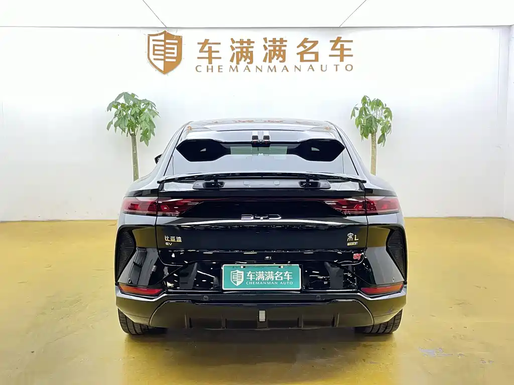 BYD L EV — миниатюра 10