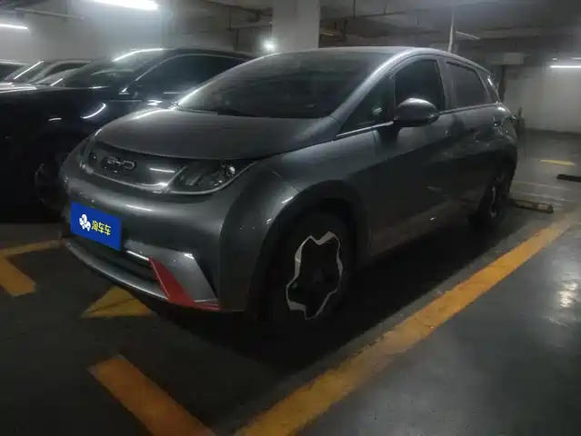 2022 BYD Dolphin