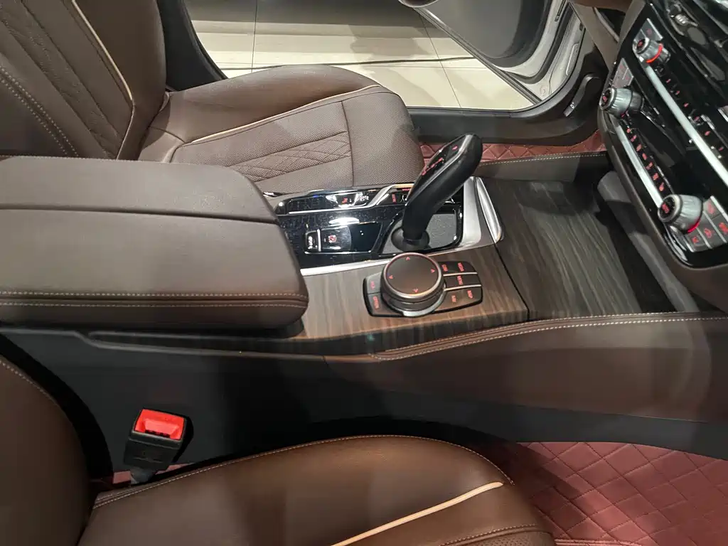 BMW 5 SERIES NEW ENERGY