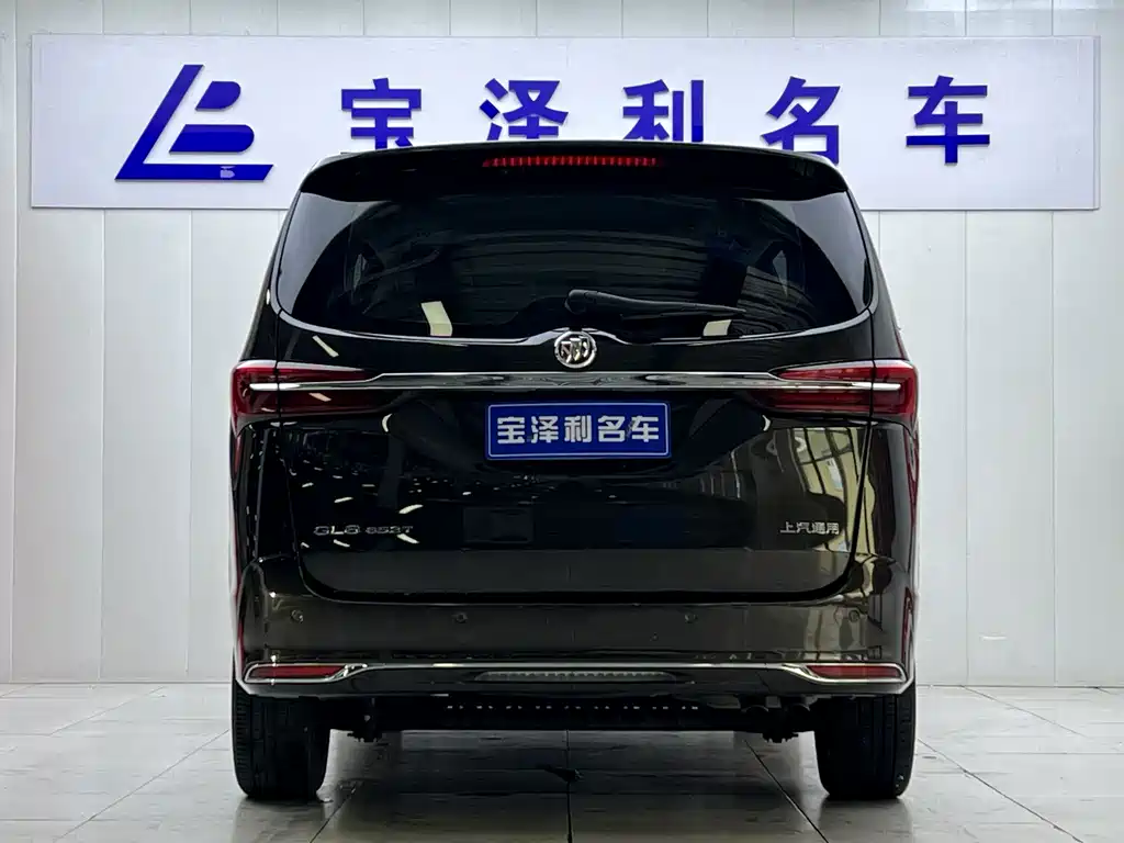 Buick GL8 — миниатюра 11