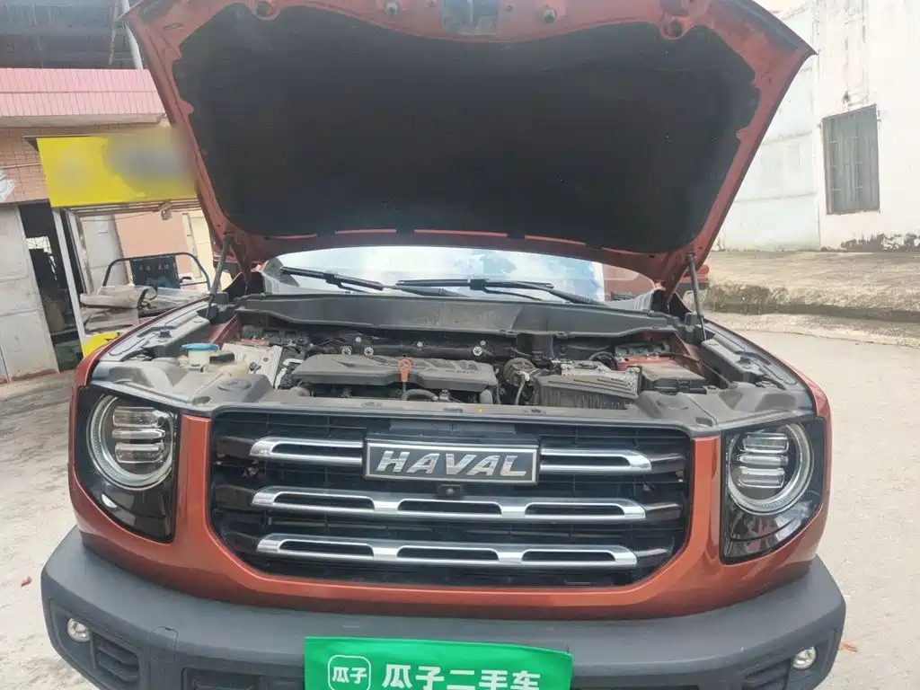 Haval Big Dog — миниатюра 16