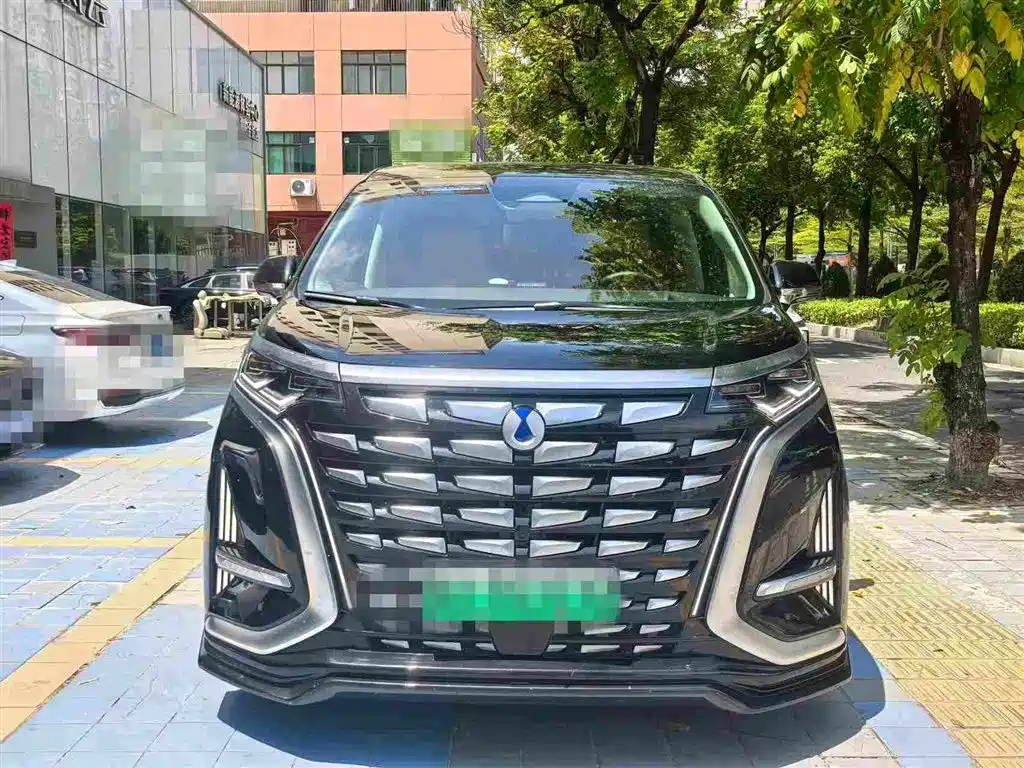 Denza Denza D9 — миниатюра 2