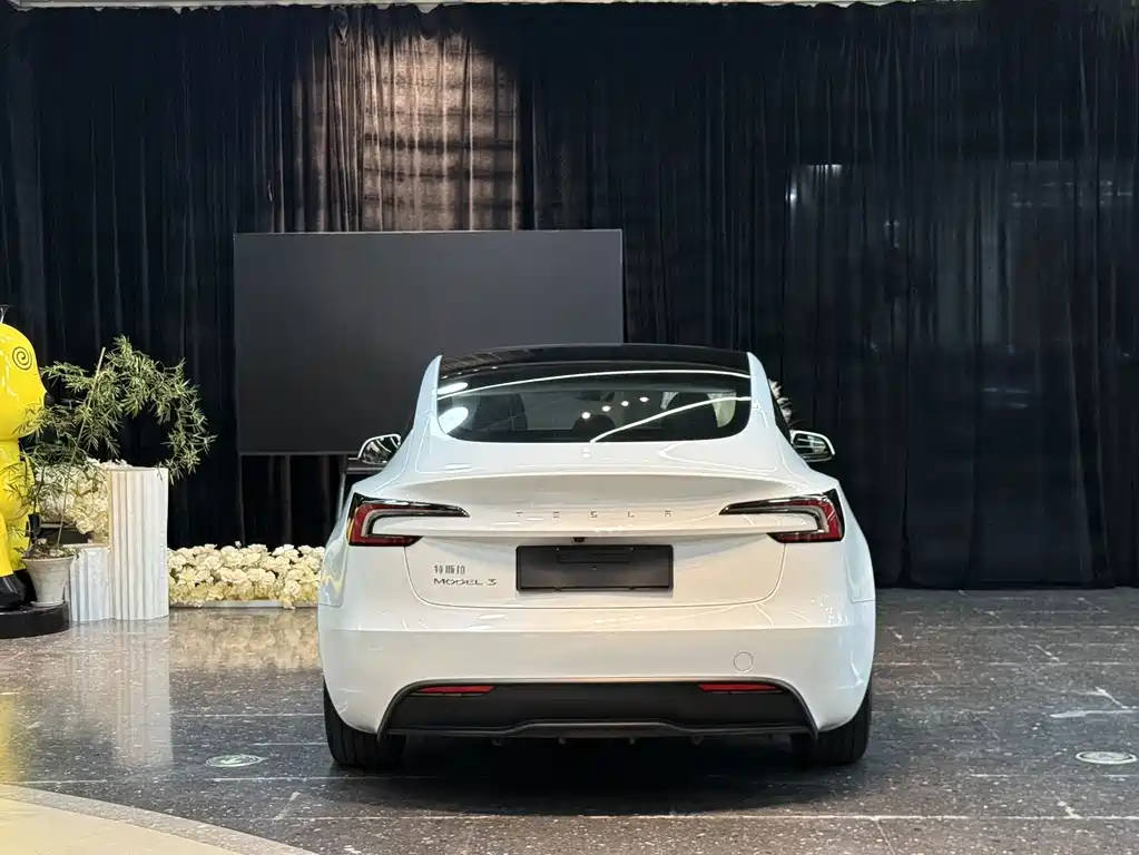 Tesla Model 3 — миниатюра 13