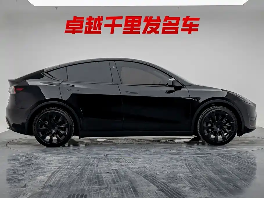 Tesla Model Y — миниатюра 7