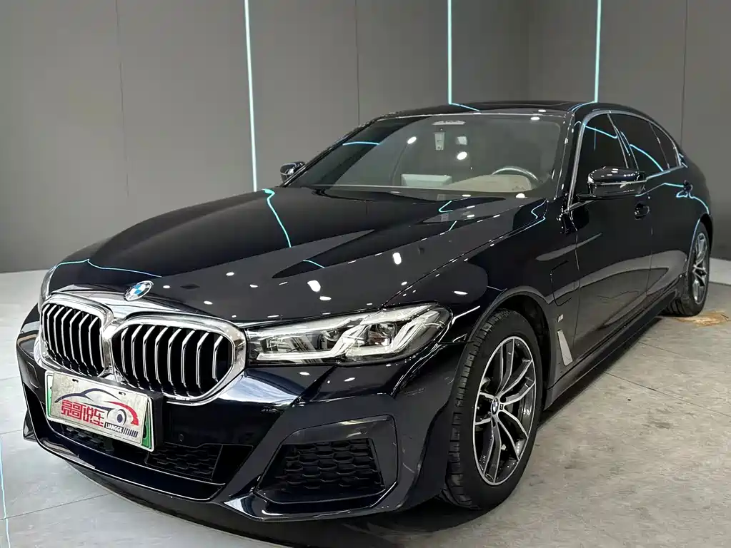 BMW 5 Series New Energy