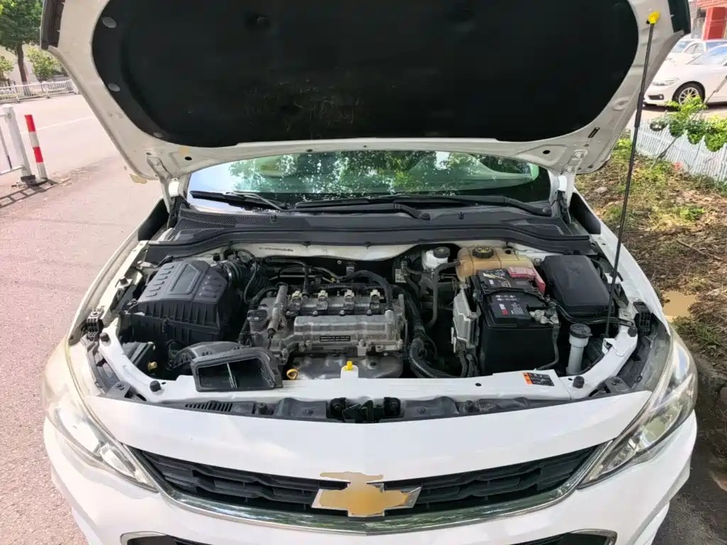 Chevrolet Cavalier — миниатюра 20