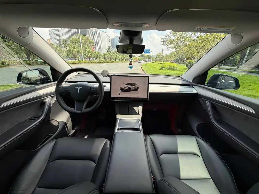 Tesla Model Y — миниатюра 12
