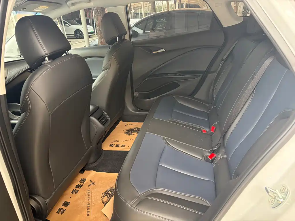 BUICK SLIGHTLY BLUE 6