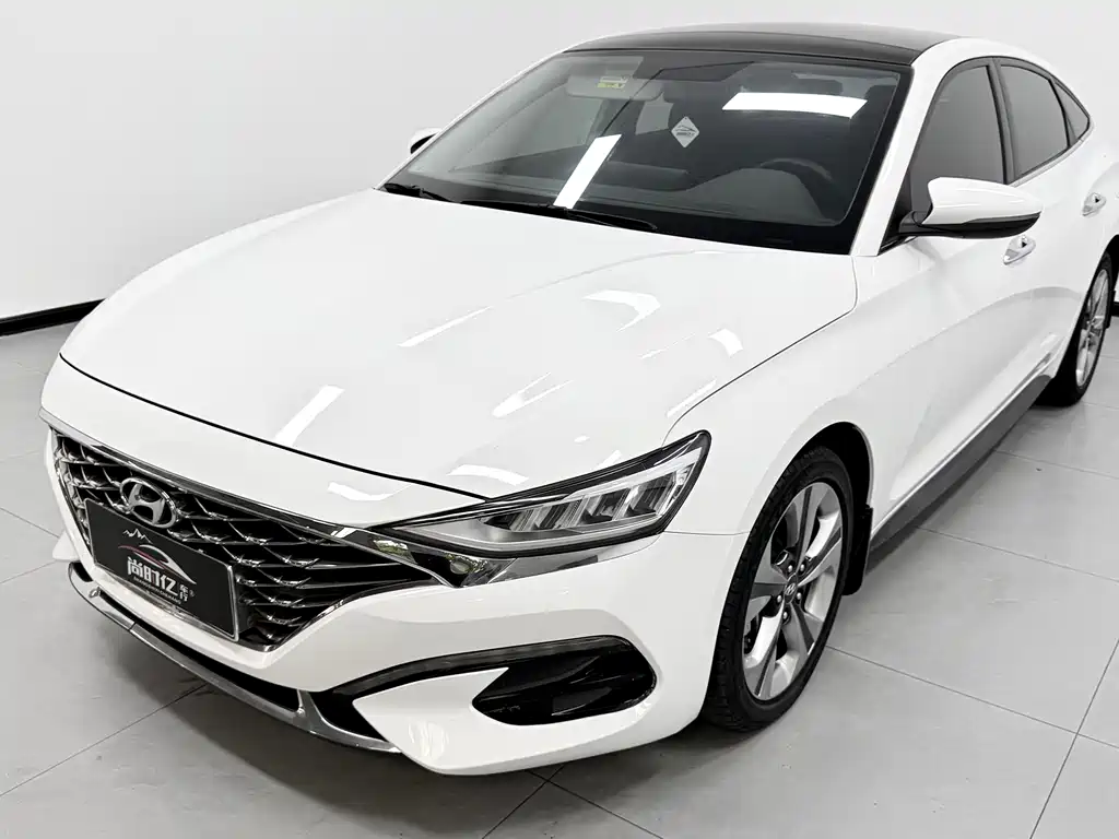 Hyundai Fista — миниатюра 9