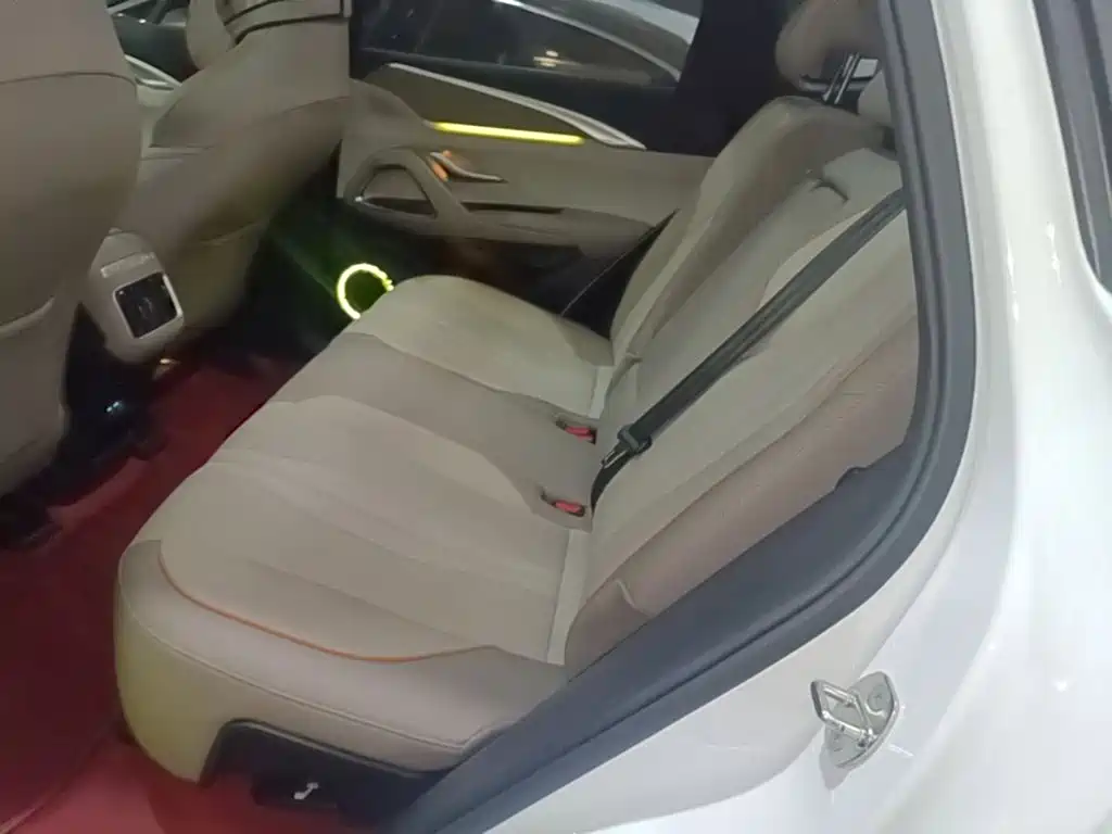 BYD Pro New Energy — миниатюра 17